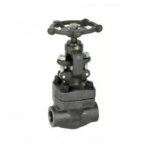 valvula gaveta vapor 01